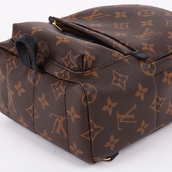 ❌SOLD❌Louis Vuitton Palm Springs Mini - Picture 4 of 9